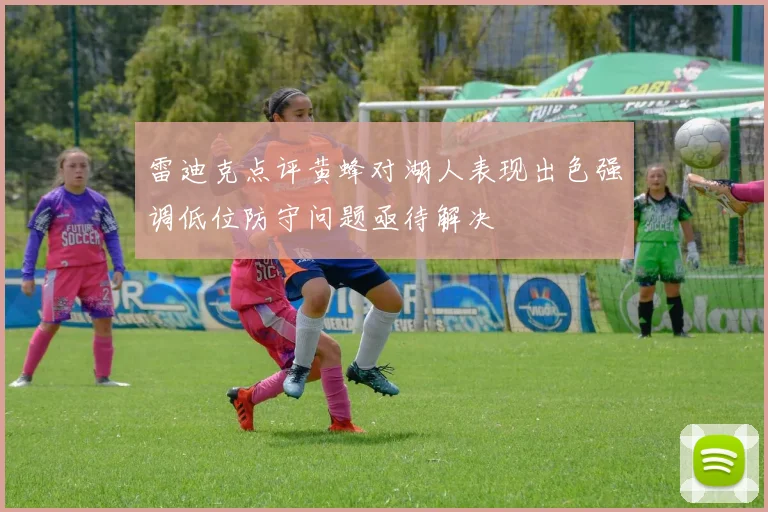 雷迪克点评黄蜂对湖人表现出色强调低位防守问题亟待解决