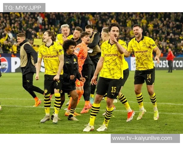 武什科维奇本赛季联赛争顶表现出色成功率超90未来可期